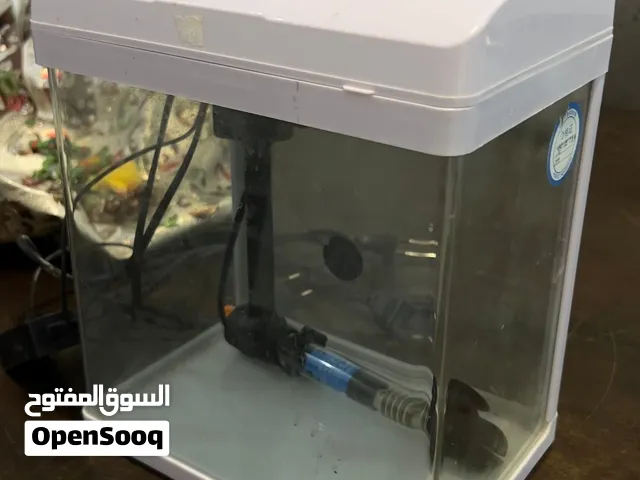 حوض اسماك صغير به منظم حراره و فلتر