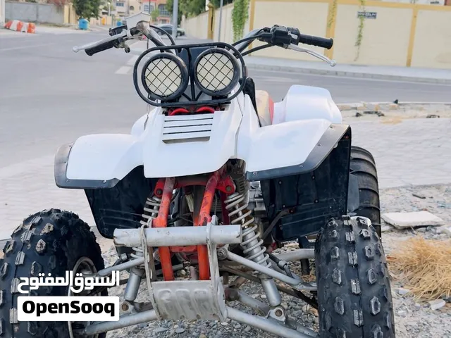 Yamaha Warrior 350 Special Edition (2004 Final Year) - 100% Stock & Pristine READY TO RIDE