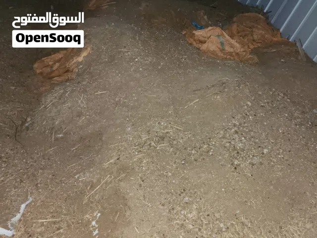 موجود سماد اعنام كمية