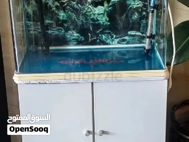 aquarium for Arijit sale