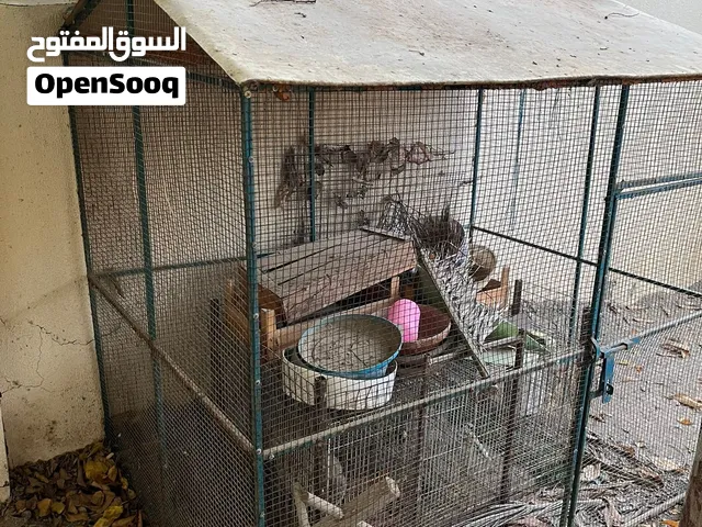 للبيع قفص طيور ممتاز جدا