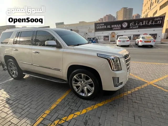 سكاليد بحاله جيدة