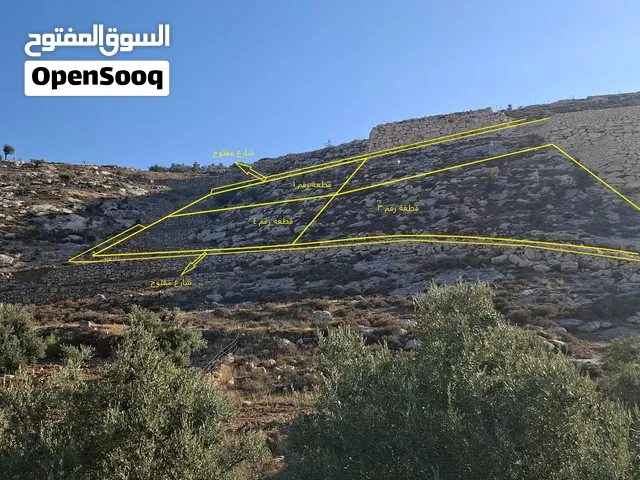 قطعة أرض مقسمة إلى 3 نمر