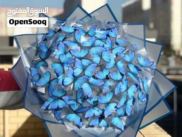 باقة الحجم الصغير 15 فراشة