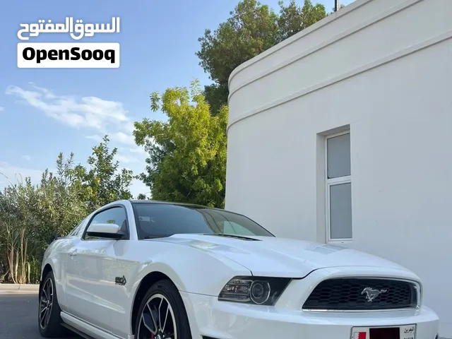 Mustang montana 2014