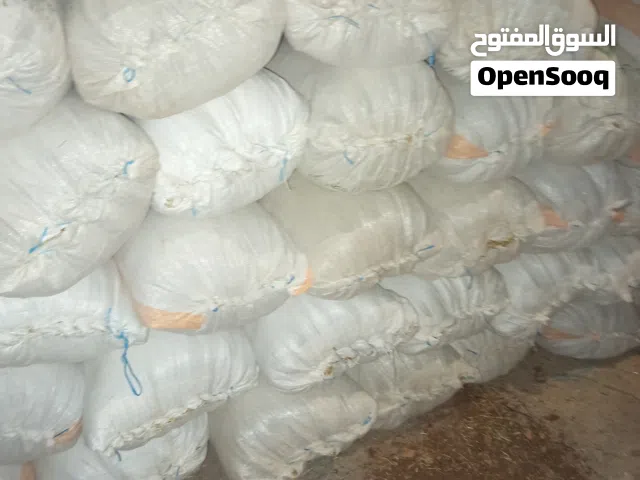 تبن بيقيا نظيف للبيع