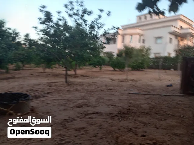 Mixed Use Land for Sale in Tripoli Airport Road