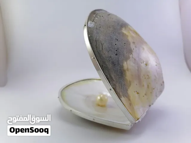 صديفي محار طبيعي