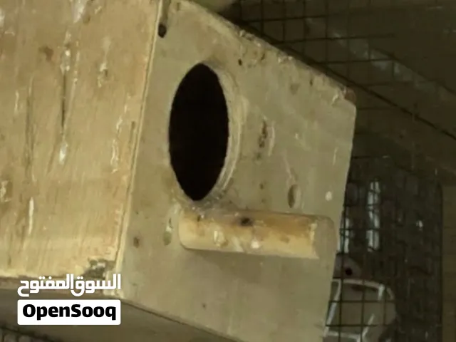 زوج روز منتج