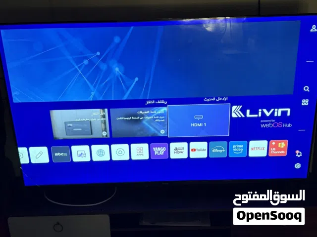 بلازما حجمة 65 بوصة مع ميز