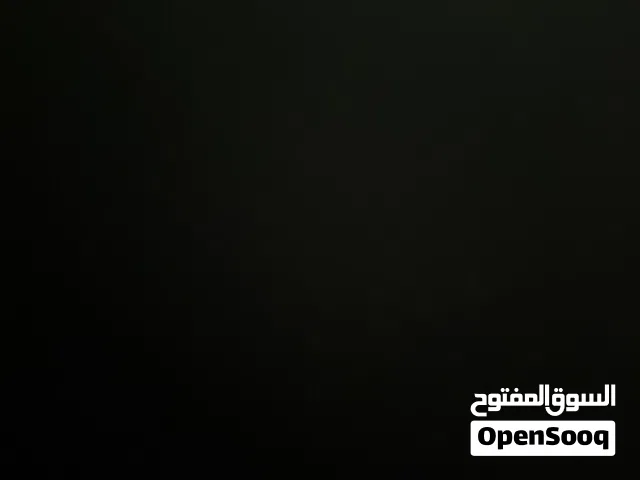 مطلوب كلب تبني بمبلغ 200
