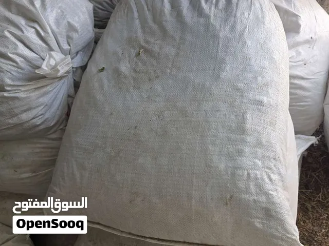 نفيعه للببع محصول هذا العام 2026