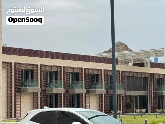 كرولا 2021 هاتش باج