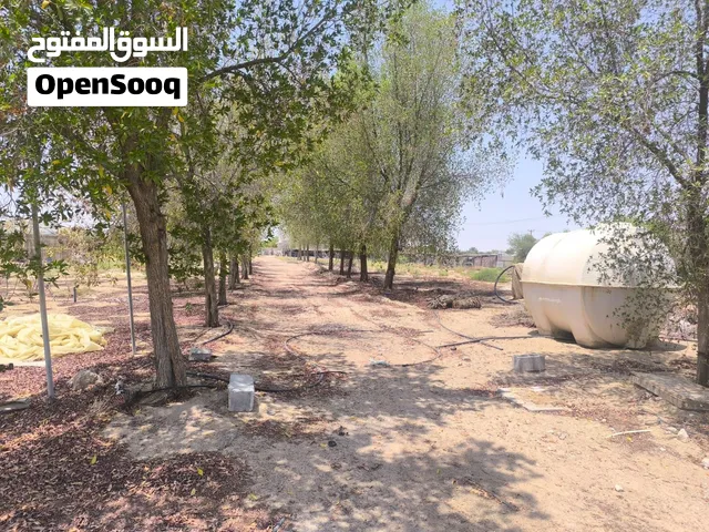 Farm Land for Rent in Abu Dhabi Al Khatim