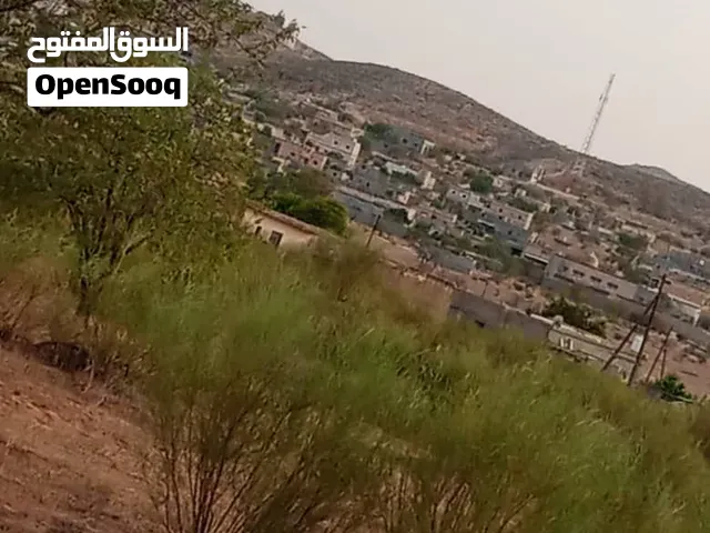 حمام للبيع في 40 واحده ع 10د الواحد