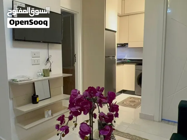 استديو مفروش للايجار سوبر ديلوكس واجمل مناطق اربد وبالقرب من مجمع عمان وجامعة اليرموك