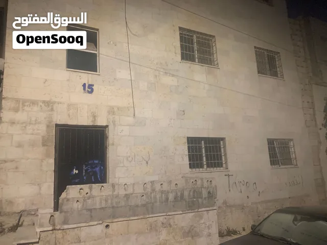 شقتين في بنايه للايجار