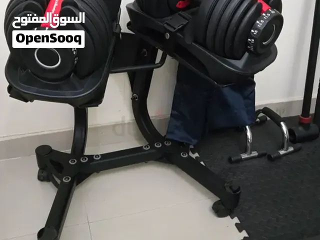 Dumbelles x 2 (24kg each) + dumbell stand + Bench