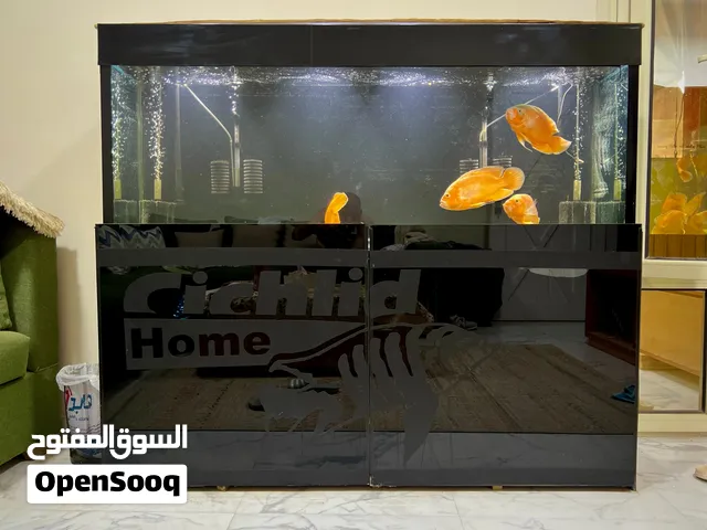 حوض سمك حجم كبير  تصنيع محلى