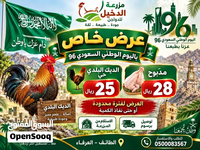 ديوك بلدي للبيع