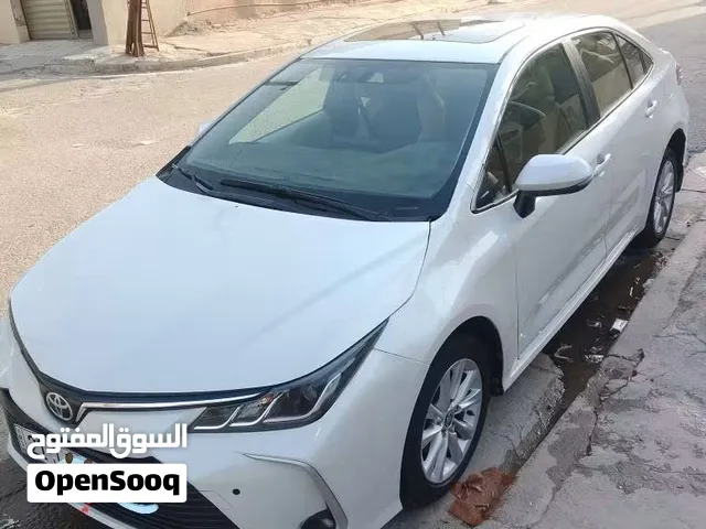 كورلا 2023 خليجي