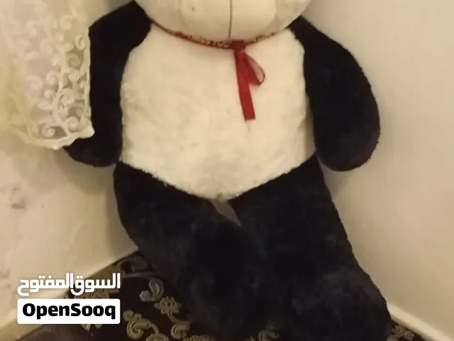 دب باندا للبيع