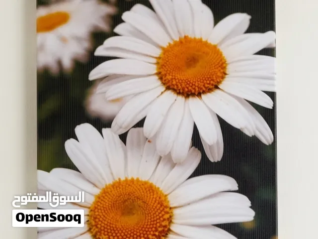 لوحات فنية رائعة وراقية
