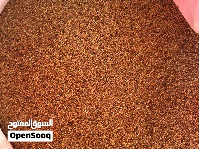 لحق بذر طعام( قت) عرق 5 سنوات