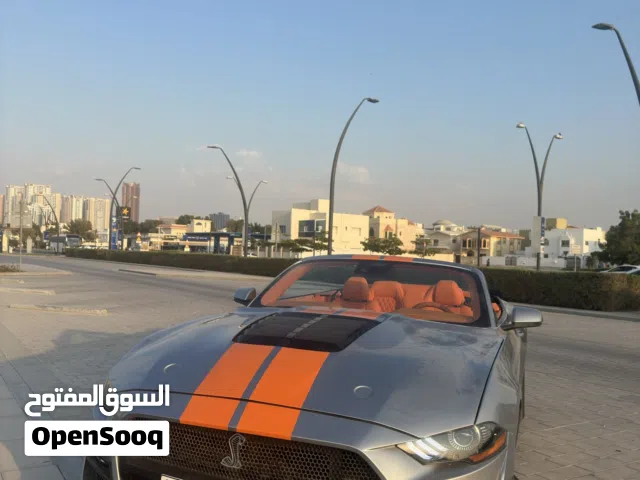 فورد موستينج شيلبي كشف موديل 2022 بحالة الوكالة ايجار يومي اسبوعي شهري خصومات على الشهري لغاية 50%