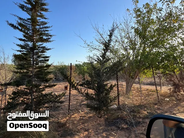 قطعة أرض للبيع تاجوراء العزيب