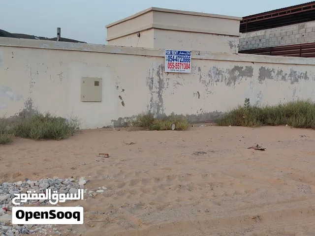 مباشر بدون عموله