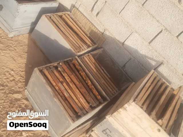 صناديق نحل من غير مغاطي وبراويز وعسالة