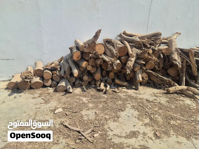 بيع حطب شريش + زام + مانجو مكس