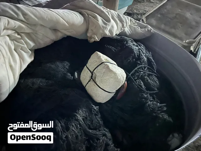 انواع الياخ للبيع