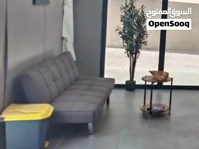 sofa Cam Bed