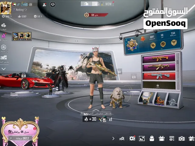 حساب ببجي اسم خام