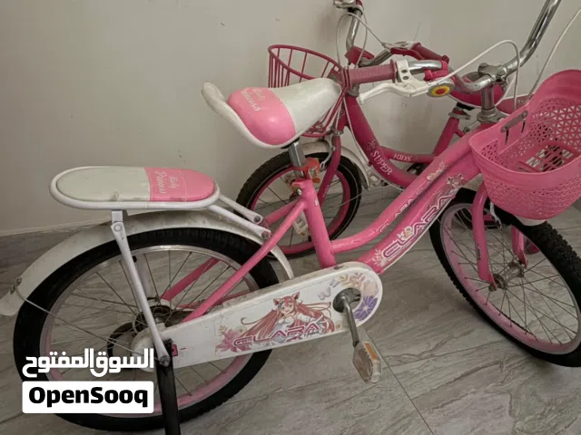 2 Girl's Bicycle for Sale