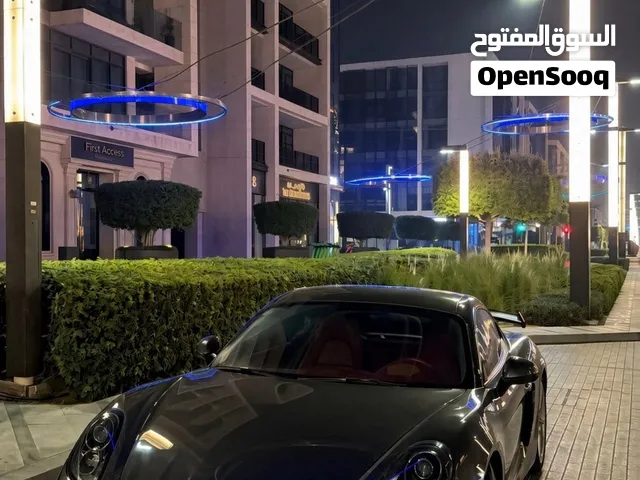Porsche Cayman 981