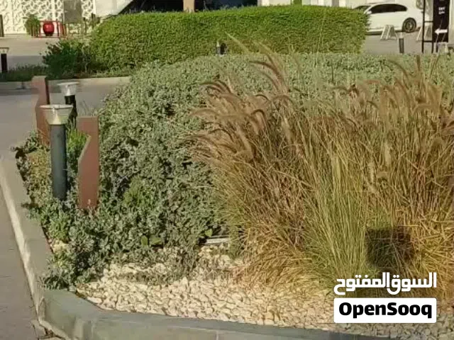 Landscaping works