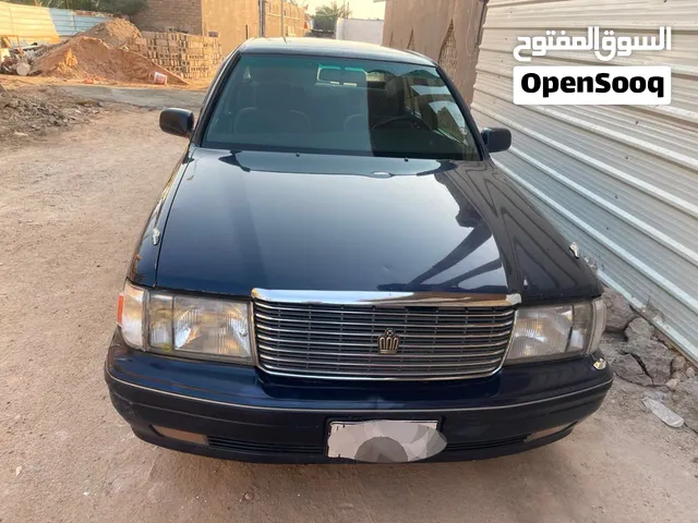 راس الثور تكم