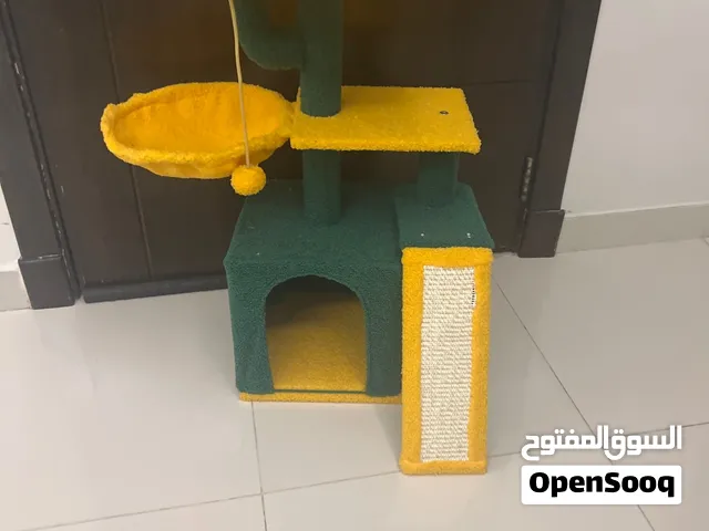 اغراض للقط