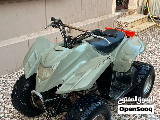 للبيع بقي تايوان حجم 100