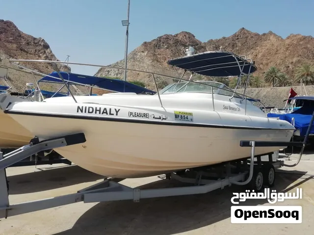 26-Foot Pleasure Boat - Excellent Condition! قارب نزهة بطول 26 قدم - بحالة ممتازة!