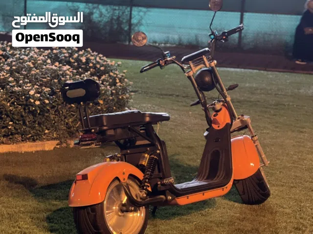 2022 هارلي ديفيدسون أخرى