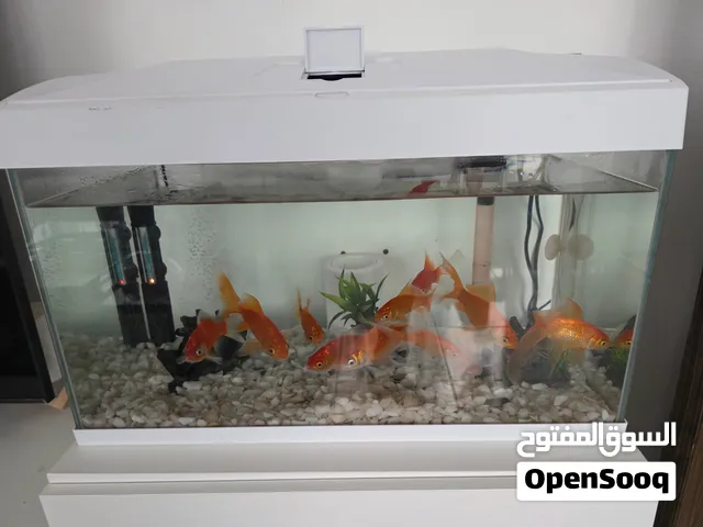 للبيع حوض اسماك