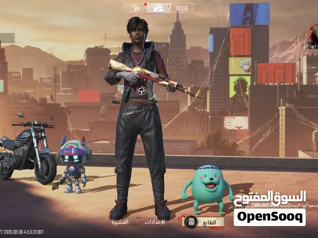 Pubg Accounts and Characters for Sale in Alexandria