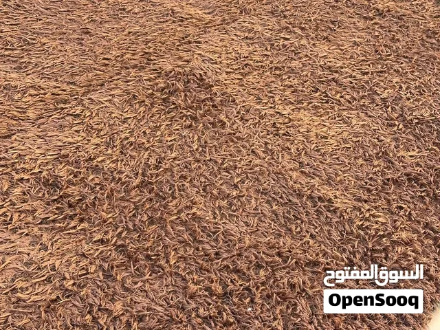 سجاد للبيع