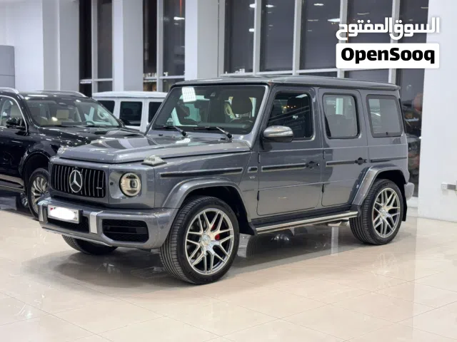 Mercedes Benz G-500  / 2019 (Grey)