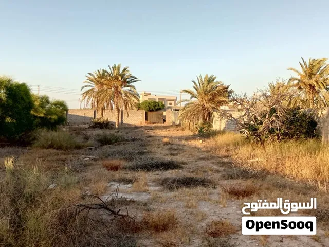 السلام عليكم.