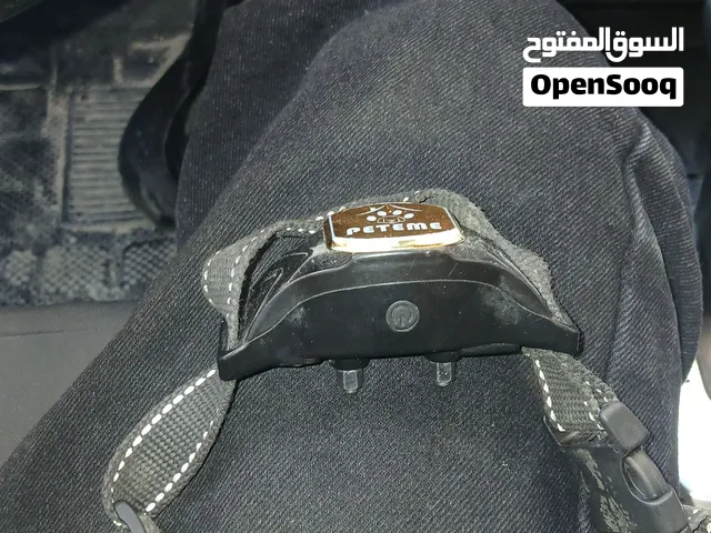 طوق كهربا للكلاب